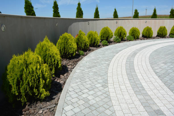 Best Best Driveway Pavers  in Napervle, IL